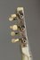 Rickenbacker A22/7 LapSteel, Silver: Free image2