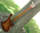 Rickenbacker 4001/4 , Autumnglo: Full Instrument - Rear