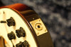 Rickenbacker 350/6 V63, MonteBrown: Free image2