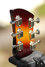 Rickenbacker 350/6 V63, MonteBrown: Headstock - Rear
