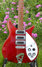 Rickenbacker 320/6 , Burgundy: Body - Front