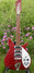 Rickenbacker 320/6 , Burgundy: Full Instrument - Front