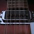 Rickenbacker 360/12 , Fireglo: Free image