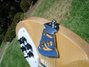 Rickenbacker 330/6 , Mapleglo: Close up - Free
