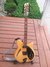 Rickenbacker 360/12 BH BT, Mapleglo: Full Instrument - Front