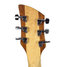 Rickenbacker 650/6 Dakota, Natural Walnut: Headstock - Rear