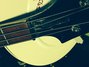 Rickenbacker 4003/4 , Jetglo: Neck - Front