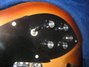 Rickenbacker 360/12 BT, Autumnglo: Close up - Free2