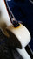 Rickenbacker 620/6 BH BT, White: Free image