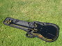 Rickenbacker 2050/4 El Dorado, Jetglo: Full Instrument - Rear