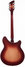 Rickenbacker 360/6 , Fireglo: Full Instrument - Rear