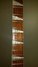 Rickenbacker 620/6 , Mapleglo: Neck - Front