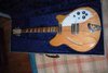 Rickenbacker 360/6 , Natural: Full Instrument - Front