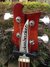 Rickenbacker 4001/4 , Fireglo: Headstock