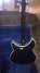 Rickenbacker 381/6 V69, Jetglo: Full Instrument - Rear