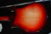 Rickenbacker 660/6 , Fireglo: Body - Rear