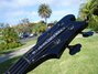 Jan 1990 Rickenbacker 4003/4 Blackstar, Jetglo: Headstock