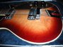 Rickenbacker 660/12 TP, Fireglo: Free image