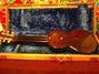 Rickenbacker B Post War/6 LapSteel, Black: Full Instrument - Rear