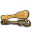 Rickenbacker Ace/6 LapSteel, Brown: Free image2