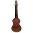 Rickenbacker Ace/6 LapSteel, Brown: Full Instrument - Rear