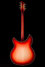 Rickenbacker 360/6 C63, Fireglo: Full Instrument - Rear