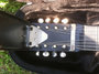 Rickenbacker BD/8 LapSteel, Black: Close up - Free