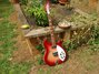 Rickenbacker 360/6 , Fireglo: Full Instrument - Front