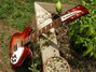 Rickenbacker 360/6 , Fireglo: Neck - Front
