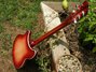 Rickenbacker 360/6 , Fireglo: Neck - Rear