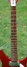 Rickenbacker 350/6 V63, Ruby: Neck - Front