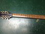 Rickenbacker 450/12 Mod, Natural: Neck - Front
