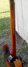 Rickenbacker 335/6 Capri, Two tone brown: Neck - Rear
