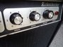 Rickenbacker TR7/amp , Black crinkle: Free image
