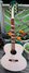 Rickenbacker 700/12 PW Build (acoustic), Custom: Full Instrument - Front