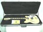 Rickenbacker 360/12 , Mapleglo: Free image2