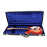 Rickenbacker 360/6 Slant Fret, Fireglo: Free image