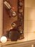 Rickenbacker M-12/amp Electro, Brown: Close up - Free