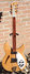 Rickenbacker 330/6 , Mapleglo: Full Instrument - Front