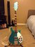 Rickenbacker 625/6 Refin, Fireglo: Full Instrument - Front