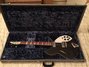 Rickenbacker 360/6 C63, Jetglo: Free image