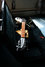 Rickenbacker 350/6 SH, Jetglo: Free image