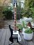 Rickenbacker 4001/4 , Jetglo: Full Instrument - Front