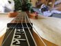 Rickenbacker 230/6 , Mapleglo: Neck - Front