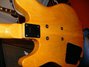 Rickenbacker 230/6 , Mapleglo: Close up - Free