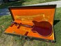 Rickenbacker 375/6 , Burgundy: Full Instrument - Rear