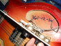 Rickenbacker 360/12 , Fireglo: Close up - Free2