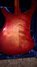 Jan 1973 Rickenbacker 4000/4 , Fireglo: Body - Rear