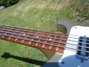 Rickenbacker 4003/5 S, Desert Gold: Neck - Front