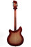 Rickenbacker 360/12 , Fireglo: Full Instrument - Rear